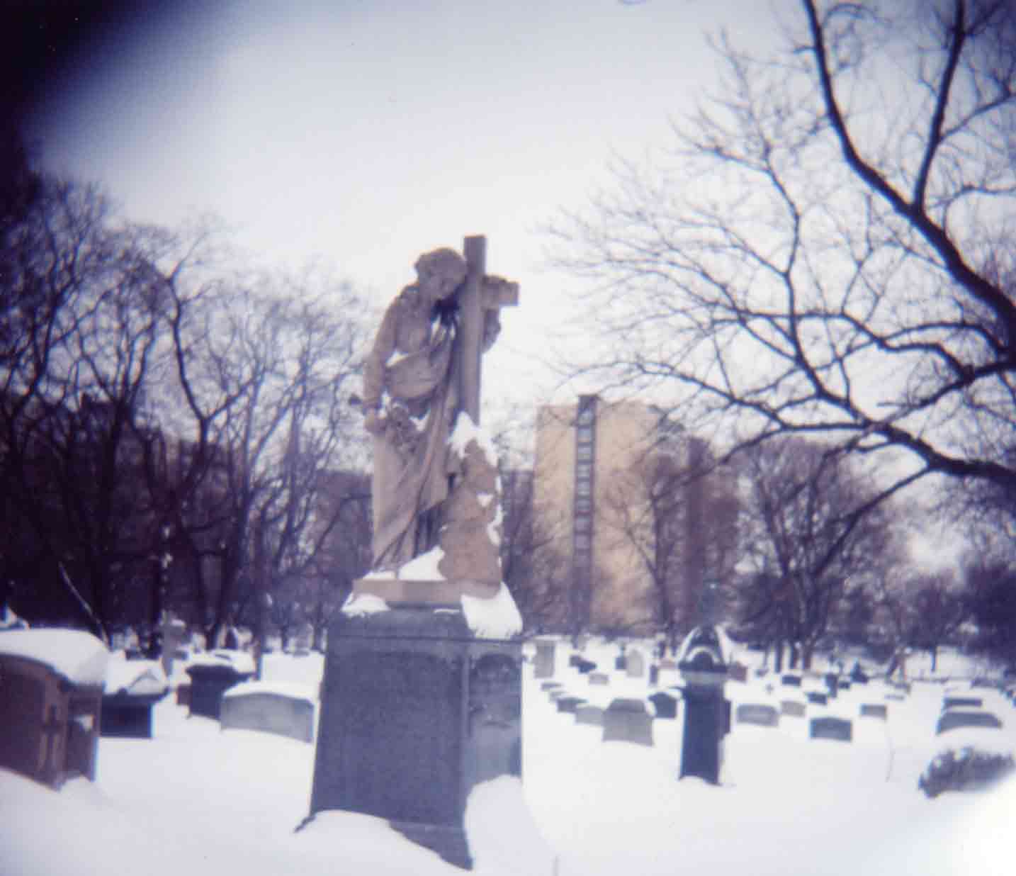 photo, 2003